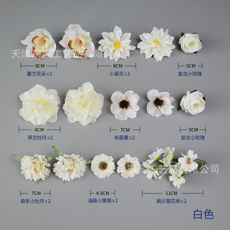 สไตล์ D - สีขาว