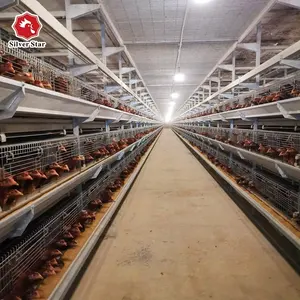 Durable fully automatic multi tiers H type layer chicken cage for laying hens