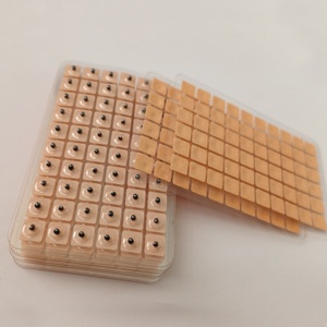 Kit <span class=keywords><strong>de</strong></span> acupuntura <span class=keywords><strong>de</strong></span> hierbas chinas, semillas <span class=keywords><strong>de</strong></span> bipiedra para el oído, <span class=keywords><strong>auriculoterapia</strong></span>, masaje <span class=keywords><strong>de</strong></span> orejas <span class=keywords><strong>de</strong></span> silicona, modelo - Product Image 5