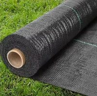 Toile anti-mauvaises herbes en géotextile tissé PP, résistante aux UV, respirante, pour aménagement paysager et couverture de sol de jardin