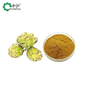 Пищевой артишок, травяной экстракт, порошок, упакованный в бутылочку, барабан, стеклянный контейнер, вакуумный контейнер - Product Image 3