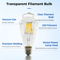 Ampoule à filament à hélice simple ambre ST64 Ampoule à filament à économie d'énergie LED E27 Works