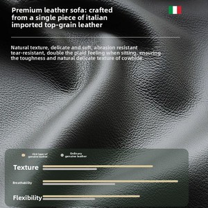 Canapé-lit rétractable multifonctionnel en cuir pleine fleur, style moderne et minimaliste, <span class=keywords><strong>pour</strong></span> <span class=keywords><strong>salon</strong></span>, avec fonction zéro espacement mural - Product Image 5