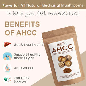 Complément alimentaire Livewell Nutrition AHCC Extrait de mycélium de champignon Shiitake 60 grammes 2 paquets Soutien immunitaire - Product Image 3