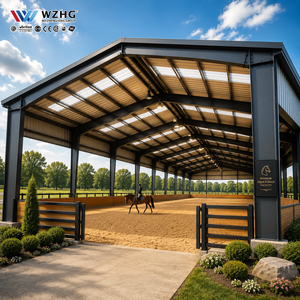 Bâtiment de manège à grande portée avec structure en acier haute résistance et conception d'ingénierie personnalisée - Product Image 1