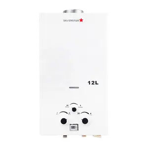 12L Wall mounted Stainless Steel constant temperature gas tankless water heater