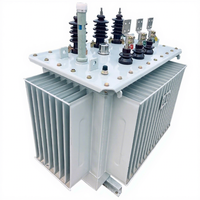 Transformador de Distribución Trifásico Sumergido en Aceite de 100kVA, 400kVA, 500kVA, 11kV a 400V/415V, Montado en Poste