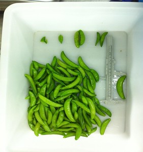 Đường đông lạnh <span class=keywords><strong>Snap</strong></span> peas cao cấp <span class=keywords><strong>iqf</strong></span> đông lạnh & tươi chế biến BRC và HALAL giấy chứng nhận - Product Image 3