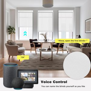 Tiêu chuẩn Châu Âu nhôm PU bọt cách điện Thân thiện với môi điện điều khiển từ xa hoặc Hướng dẫn sử dụng con lăn cửa chớp cho Windows - Product Image 5