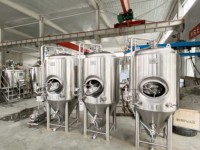 Cuve de Fermentation Unitank en Acier Inoxydable 304 de Haute Qualité 1000L avec Trappe Latérale pour Micro-Bière Artisanale