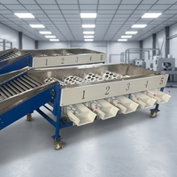Hoogwaardige fruit sorteermachine speciaal voor appel, citrus, sinaasappel, citroen, automatische sorteermachine op basis van formaat