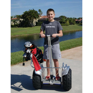 3200W 19 Inch Thông Minh Thông Minh Tự Cân Bằng Động Cơ Chariot Golf Scooter Xe Golf Điện - Product Image 4