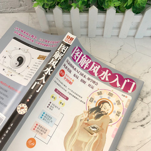 Phong thủy Minh họa: hướng dẫn người mới bắt đầu hoàn chỉnh để hòa hợp nhà, I Ching, và nghệ thuật thần bí - Product Image 2