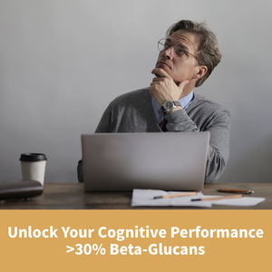 GANOHERB Private Label OEM Bio-Löwen mähnen pilzex trakt Pulver Kräuter-Vegan-Kapseln zur kognitiven Unterstützung - Product Image 3