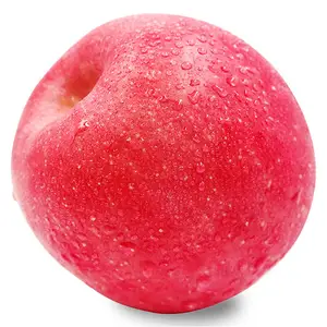 중국 레드 후지 사과 도매 가격 달콤한 파삭 파삭 한 사과 수출 몰디브 스리랑카