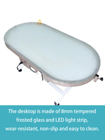 Table de toilettage électrique pour animaux de compagnie EUR PET en promotion – Équipement durable pour salon de beauté animale, table de nettoyage et de levage