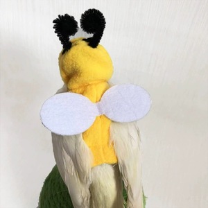Costume de perroquet en polaire, sweat à capuche chaud, taille S M L, design animal mignon pour oiseaux de compagnie - Product Image 3