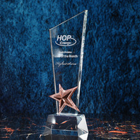 Fabrication de trophées en cristal, médailles en métal en forme d'étoile, médailles d'excellence pour employés, gravure personnalisée de texte