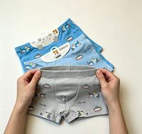 Caleçons Boxers en Coton pour Tout-Petits Garçons, Motif Avion Adorable, Doux, Respirant, Écologique, Anti-Bactérien, Thermique, Sous-vêtements Élastiques pour Enfants