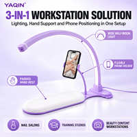 Lampe de bureau demi-lune 3-en-1 OEM ODM 48W avec repose-main et support téléphone, éclairage réglable pour fournisseurs de salons