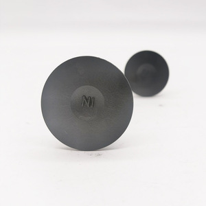 <span class=keywords><strong>13201</strong></span>-<span class=keywords><strong>8h300</strong></span> 13202-6n200 nhà máy bán hàng trực tiếp động cơ <span class=keywords><strong>intake</strong></span> & xả van cho Nissan Teana altima X-TRAIL 2.0L 2.5L qr20de qr25de - Product Image 3