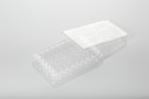 의료 화학 OEM 실험실 용 공장 공급 PS 세포 배양 플레이트 - Product Image 2