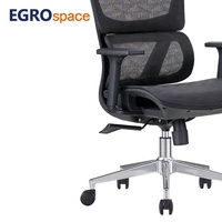 EGROspace Solutions de Bureau Tout-en-un, Chaise de Bureau Ergonomique Pivotante Confortable en Maille pour Cadres