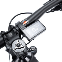 Vélo de montagne électrique CYCTRAC MTB 29 pouces EM19, cadre en fibre de carbone, moteur central Bafang M820 48v, vélos électriques pour hommes, vente flash