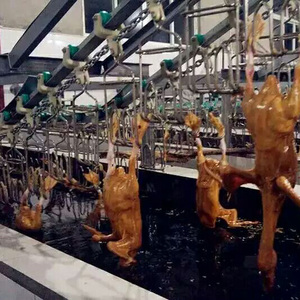 <span class=keywords><strong>KBT</strong></span> Qualité garantie Chaud en Afrique plumeur de plumes de poulet poulet canard oie équipement d'abattoir - Product Image 2