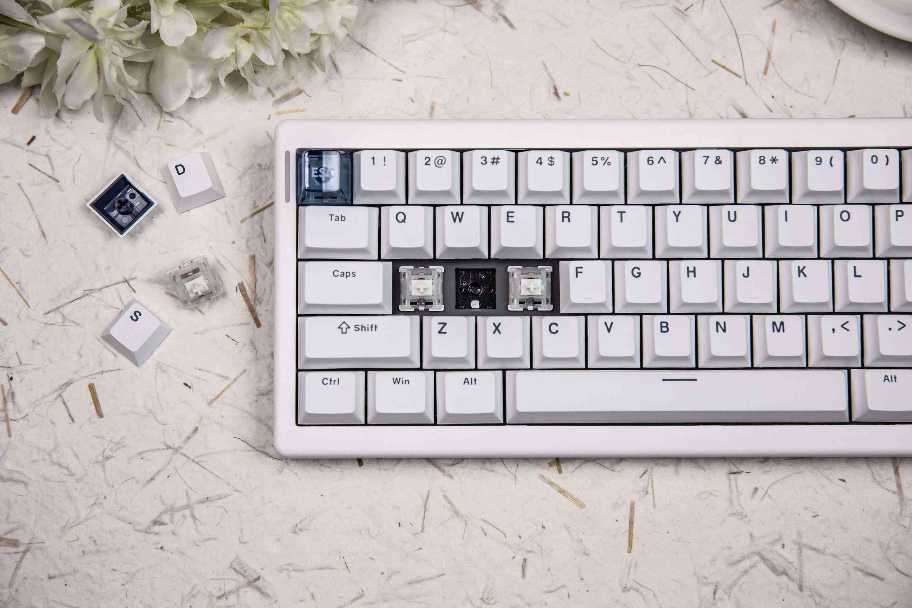 CIDOO QK61 V2 60% ゲーミングメカニカルキーボード 無線&有線対応 RGB 
