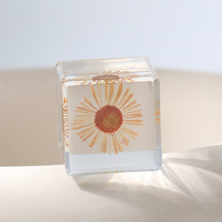 Needle Chrysanthemum