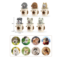 Jouet projecteur pour animaux de compagnie, lampe torche à disque diaposable pour enfants, jouet éducatif cognitif, projection de tasses à café, vente en gros de jouets pour bébés