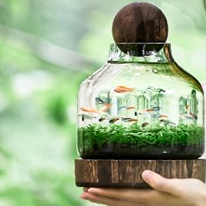 水族館アクセサリーメーカーアートデザイン小型デスクトップ水槽ガラス水槽 - Product Image 5