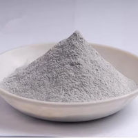 Poudre de microsilice SiO2 de haute pureté 92% 200 Mesh Exportation spéciale Fumées de silice pour le mélange de béton