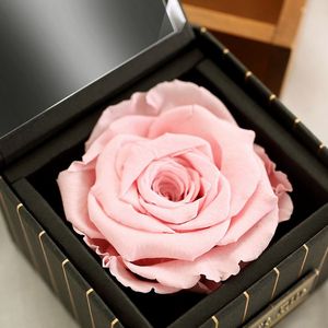 Superventas, novedad, Rosa seca real natural, preservación de flores de rosa de San Valentín - Product Image 6