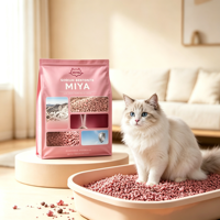 Litière pour chat en bentonite de sodium, fabrication OEM/ODM, agglomération rapide, hautement absorbante, adsorption physique, contrôle des odeurs, faible poussière, vente en gros
