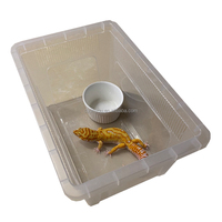 2023 nouveau PP Pet Cage 32*22*15cm serpent léopard Gecko tortue araignée ciliaire corne alimentation boîte Reptile étagère plateau