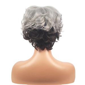 Perruque courte bouclée pour femmes européennes et américaines avec base en dentelle naturelle en fibre synthétique, petite perruque gris argenté pour maman - Product Image 5