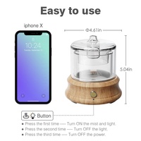 Diffuseur d'huiles essentielles OEM 80 ml avec petit réservoir en verre, base en bois naturel, diffuseur d'arômes à ultrasons à brume froide pour la maison et le bureau