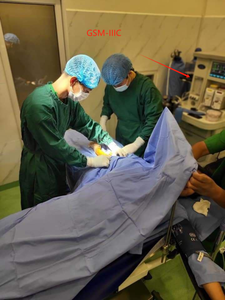 Macchina per Anestesia Compatta per Animali - Attrezzatura Veterinaria a Batteria con 4+ Ore di Autonomia - Product Image 6