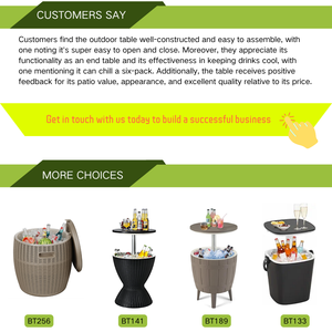 Enfriador de mesa fría con asa, abridor de botellas, Enfriador de cerveza y vino ligero, reuniones, picnics y barbacoas en el patio trasero - Product Image 5