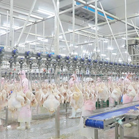Ligne d'abattage de poulet Offre Spéciale Raniche Machine d'abattage de volaille