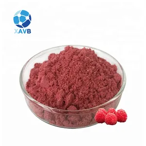 High Quality Natural Freeze Dried Raspberry Fruit Berry Powder Raspberry Powder Freeze-dried Powder