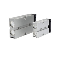 Haute qualité TN20 série pneumatique Double tige Piston TN pression d'air Pneumo cylindre