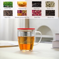 Tasses à thé en verre 480ml résistantes à la chaleur et isolées avec infuseur à thé pour tremper le thé en vrac