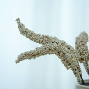 装飾的な結婚披露宴のための小麦の花のブーケのWhosale高品質人工耳 - Product Image 5