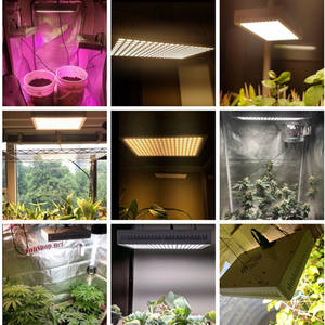Venta caliente 300W 600W Hidroponía natural Espectro completo UV IR LED Grow Light para verduras. Semillas Boom Invernadero Granja Vertical para Bloom - Product Image 6