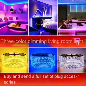 High-voltage 220V IP67 Waterproof Flexible <b>LED</b> Double-row Indoor/Outdoor <b>Light</b> Strip with Dimmable Residential Use - Product Image 2