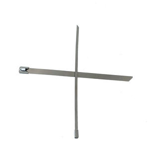 4.6*250mm100 حزمة SUS 304 قفل كروي كابل الرمز البريدي التعادل - Product Image 2