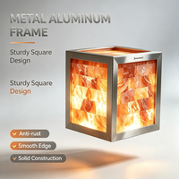 Armoire en acier inoxydable avec cubes de sel de l'Himalaya éclairés par LED, écologique, pour l'halothérapie en spa et la décoration intérieure